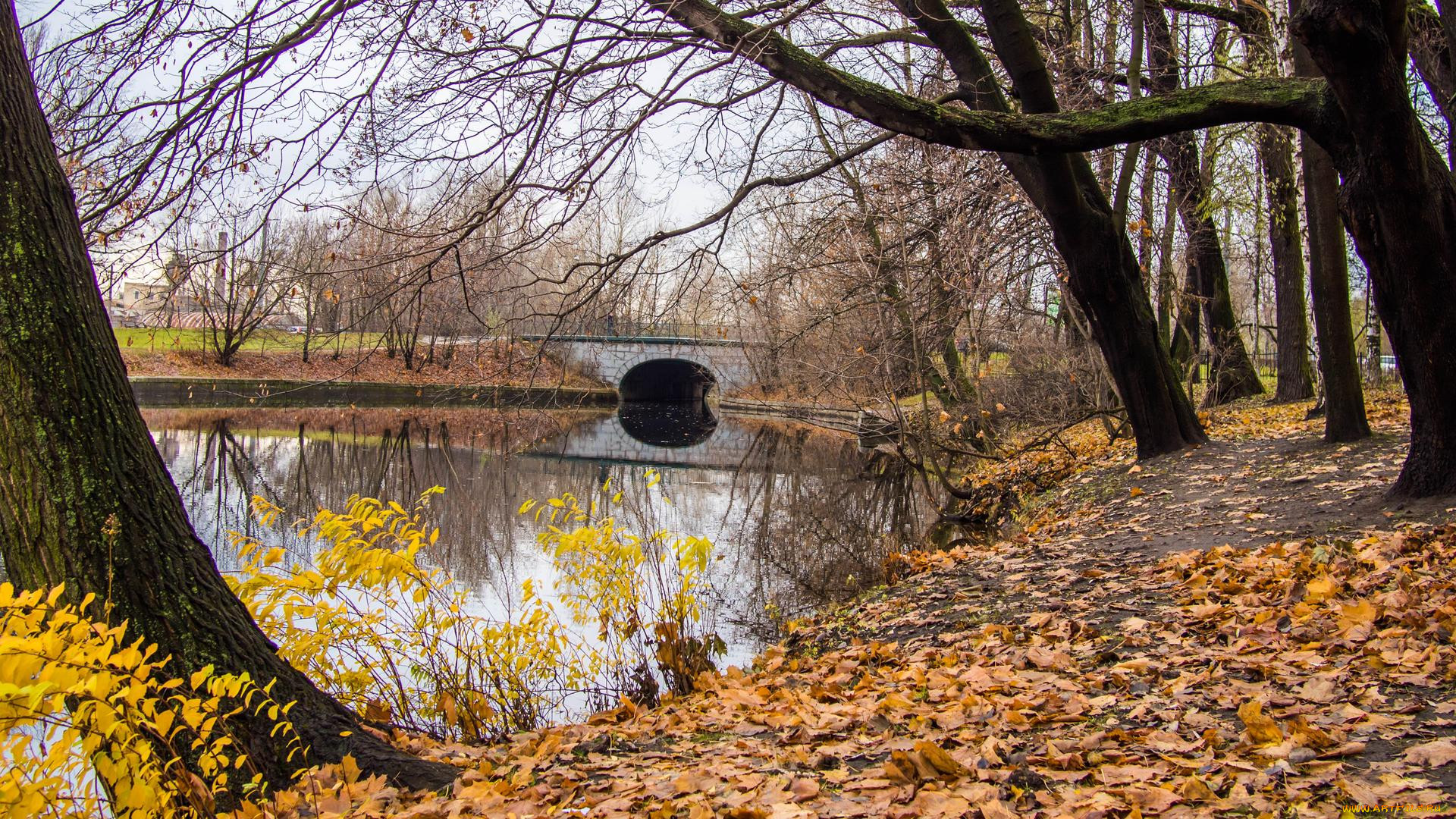 , , saint-petersburg, ekateringofka, river